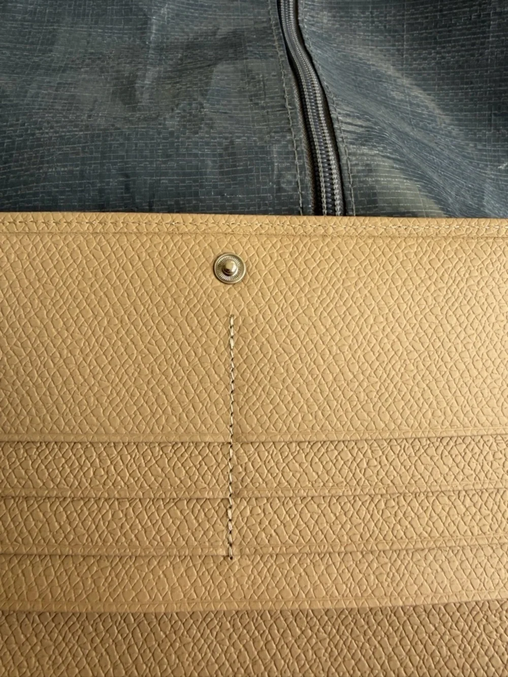 Longchamp le roseau